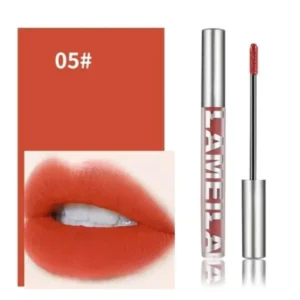 Lameila Matte Liquid Lipstick 05